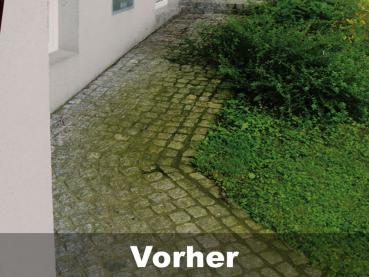 Vorher